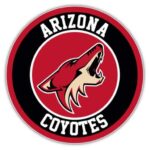 St. Louis Blues vs. Arizona Coyotes